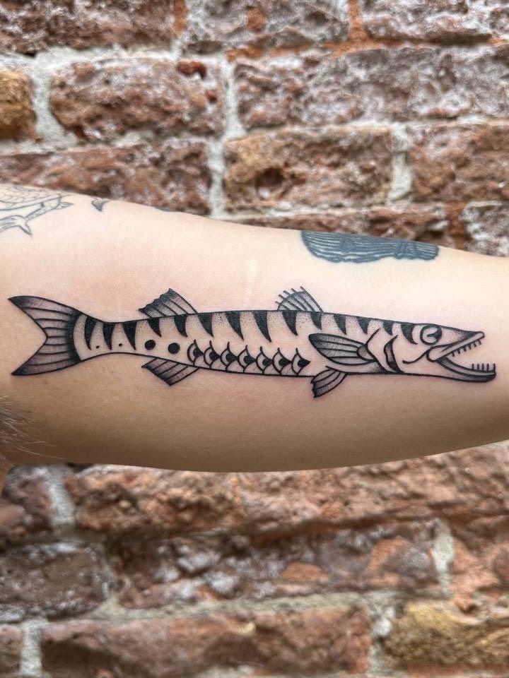 Barracuda traditional di Bertz